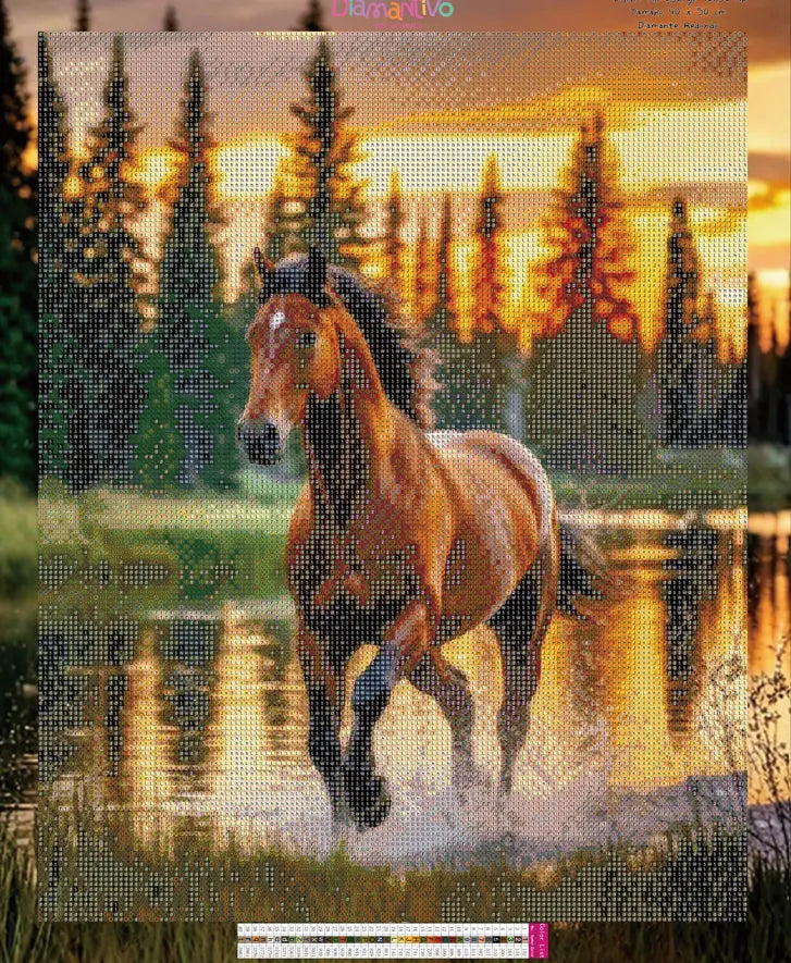 Alma Salvaje Premium Arte con diamantes 50 x 40