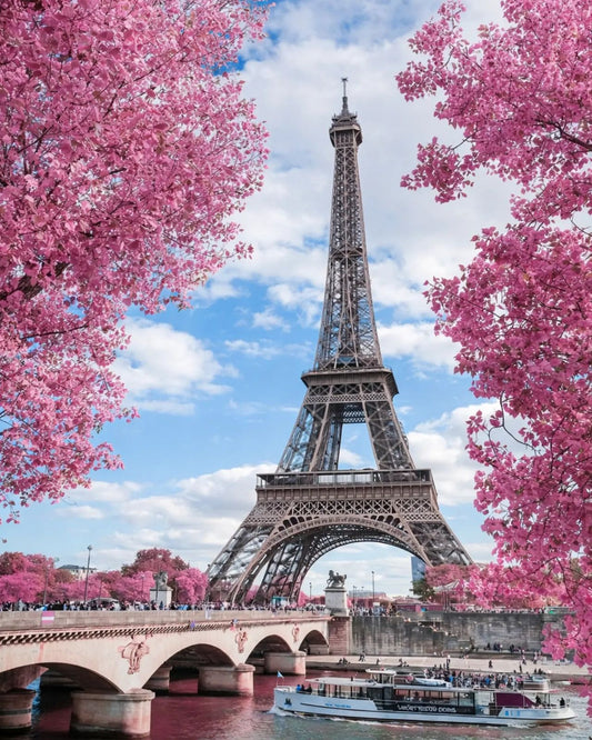 Paris Primavera en diamond painting, diseño completo con cerezos en flor